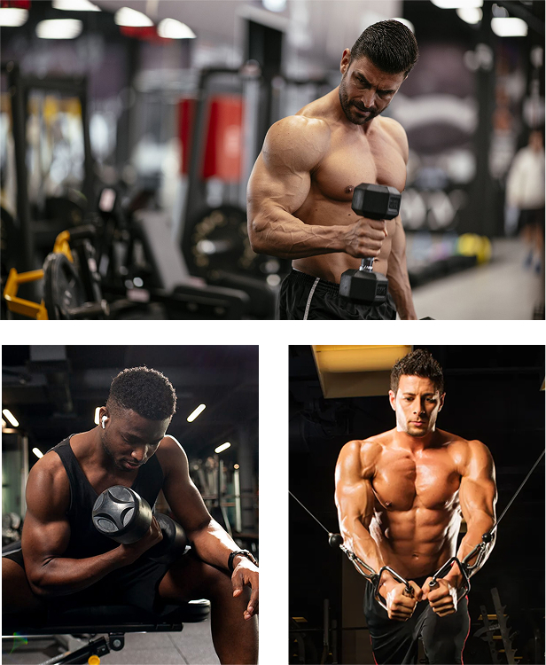 Hair Care Essentials Collection